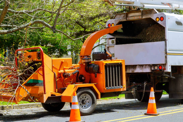 Leaf Removal Services in Metter, GA